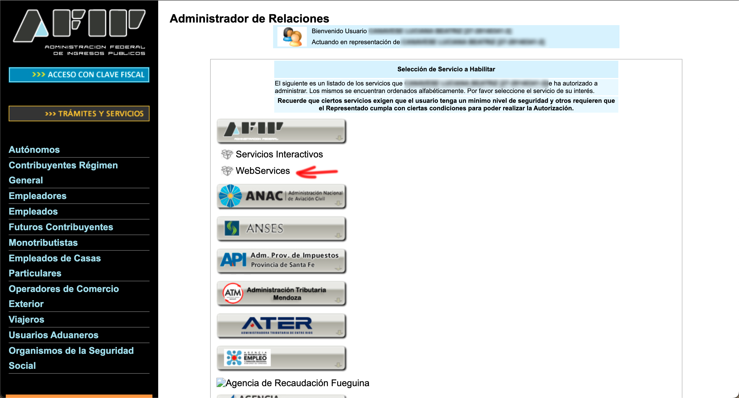 Abrimos «AFIP - Web Services»