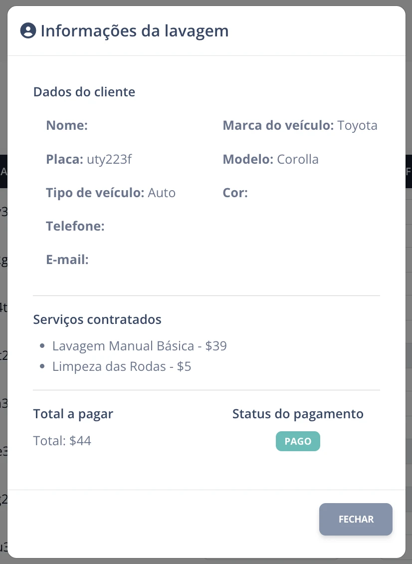 Detalhe de lavagem paga