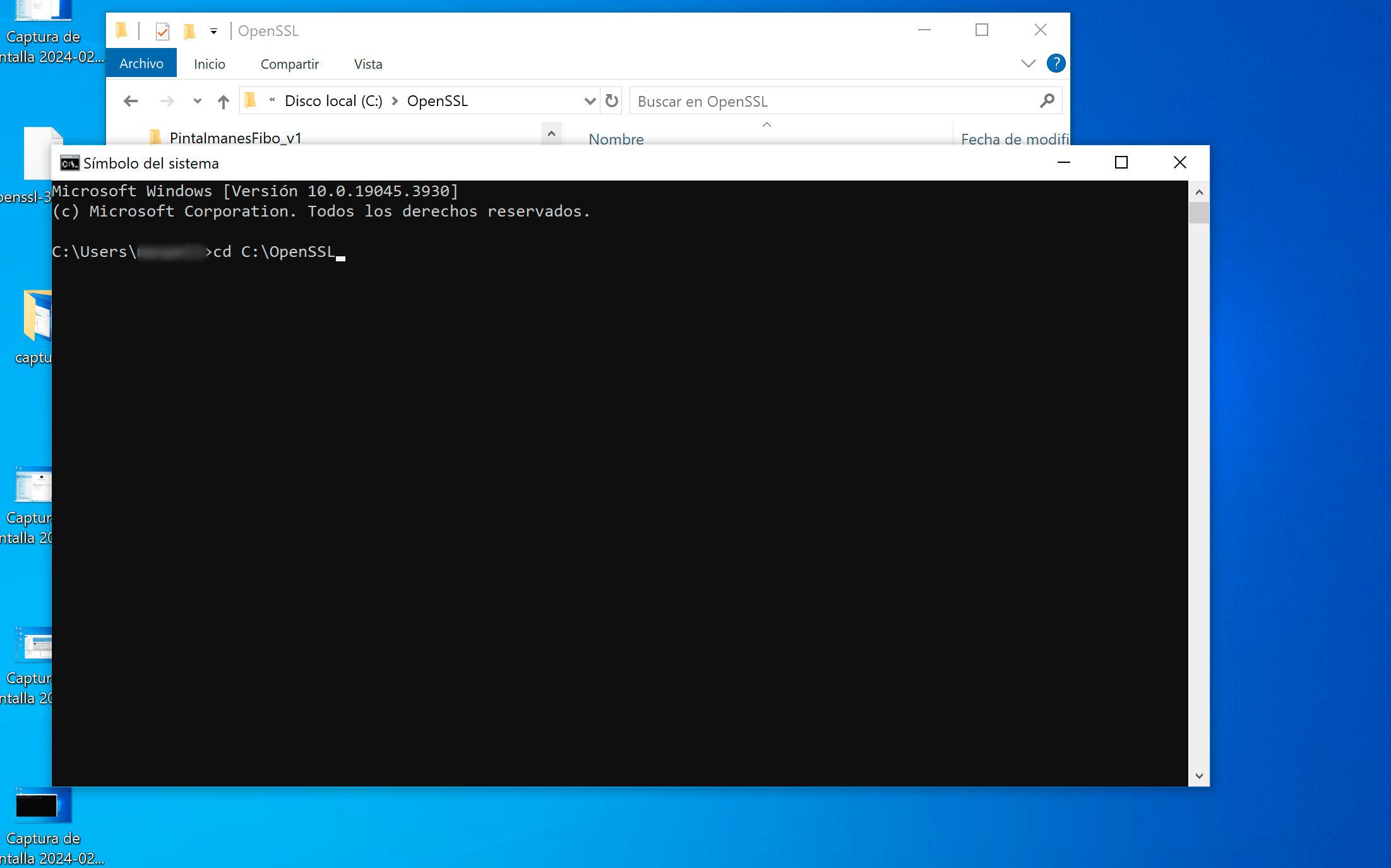 Ir a carpeta opennSSL