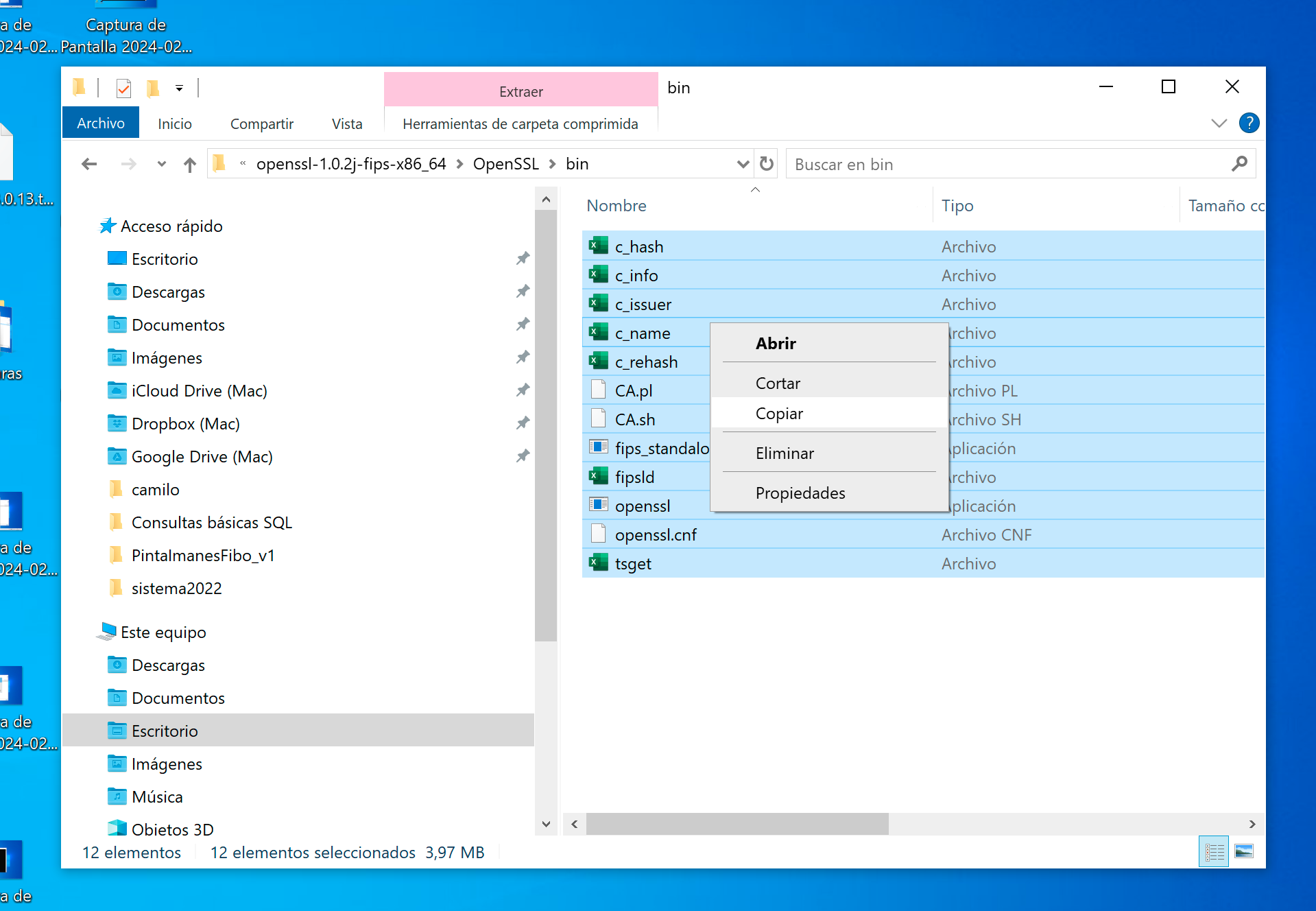Copiar archivos a carpeta bin
